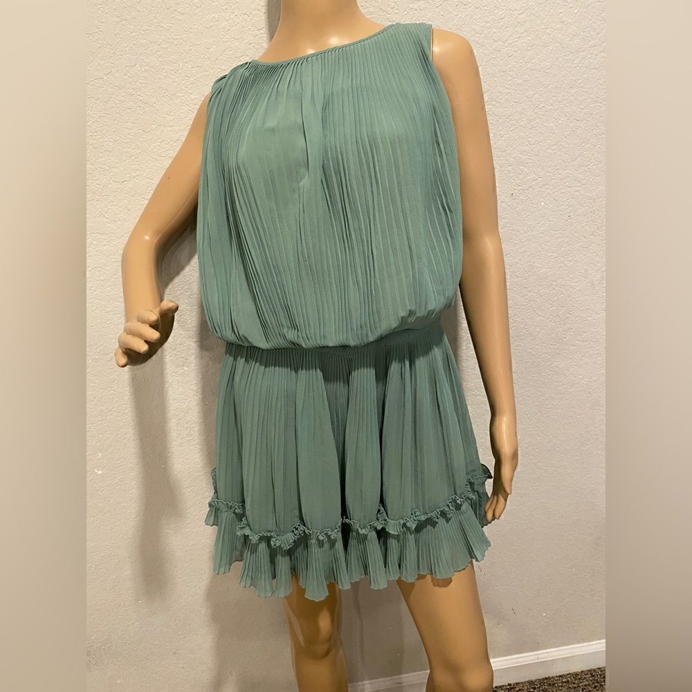 NWOT Chic |Ruffle |Mini Dress